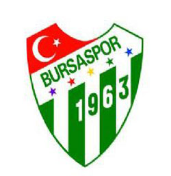Bursaspor Avrupa Kupalarına Katılacak
