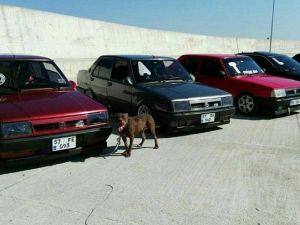 Modifiye Ve Hız Tutkunları Buluştu