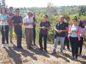 Öğrencilerin Yetiştirdiği Bıldırcınlar Doğaya Salındı
