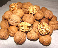 Ceviz erkekliği güçlendiriyor