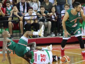 Spor Toto Basketbol Ligi