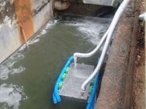 Çevreyi Kirleten İşletmelere 4 Milyon 24 Bin Tl Para Cezası Kesildi