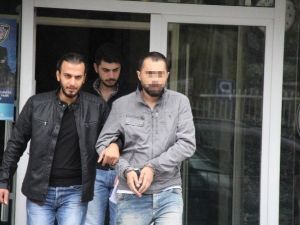 Evinde Bonzai Ele Geçen Genç Gözaltına Alındı