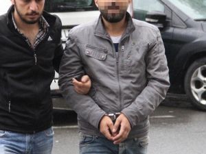 Evinde Bonzai Ele Geçirilen Şahıs Tutuklandı