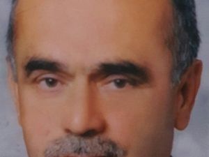 Ceviz Ağacından Düşen Yaşlı Adam Hayatını Kaybetti