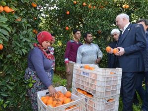 Tzob Genel Başkanı Şemsi Bayraktar:
