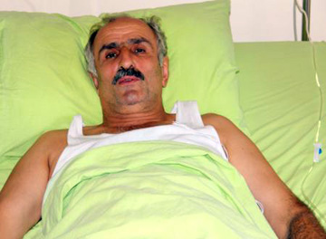 Zabıta Amiri Ağaçtan Düştü Yaralandı