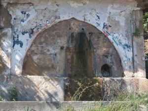 150 Yıllık Tarihi Çeşme Yosun Bağladı