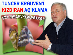 Böcek Zararsız Diyenlere Sitem