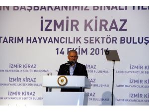 Başbakan Yıldırım: "Her Şeye Rağmen..."