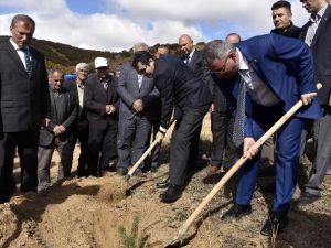 Köse’de 41 Bin Fidan Toprakla Buluştu