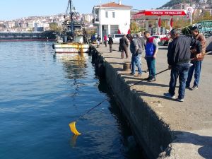 Deniz Suyunun Ani Soğuması Balıkları Şoka Soktu