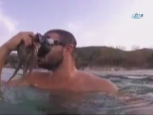 Ahtapot Yüzüne Böyle Yapıştı