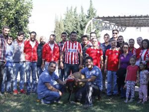 Antalyapsor’da Kötü Gidişata ’Dur’ Demek İçin Kurban Kesildi