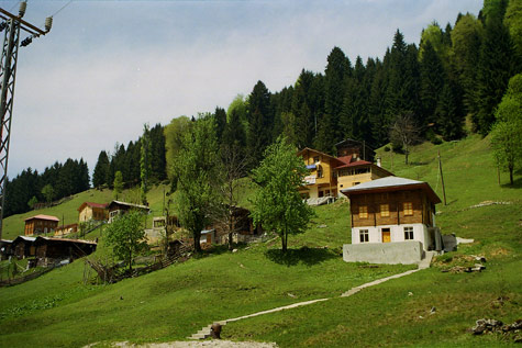 Ayder Festivali 6-7 Haziranda