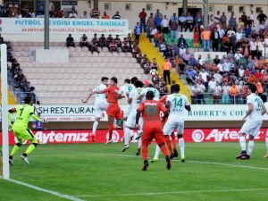 Timsah Deplasmanda Avlandı