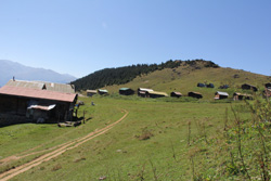 Herkes Yol İster Onlarsa...