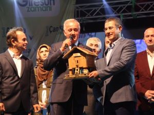 "Kimse Türkiye’yi Hesaba Katmadan At Koşturamaz"