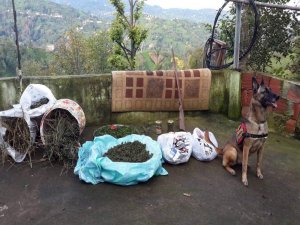 Rize'de Narkotik Köpeği 'Çakıl' Uyuşturucu Maddeleri Buldu