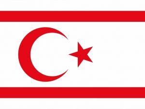 Cumhurbaşkanlığı Sözcüsü Burcu İddialara Yanıt Verdi