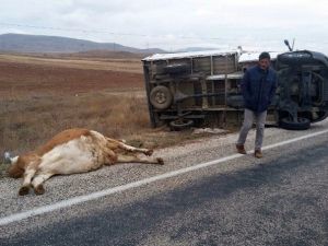 Kelkit’te Trafik Kazası: 2 Yaralı