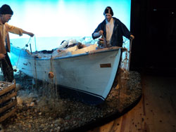 Çayeli Doğal Yaşam Müzesi Açılıyor