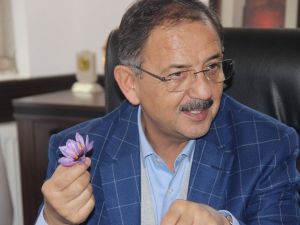 "Sırtımızı Kandil’e Değil Halka Ve Hakk’a Dayadık"