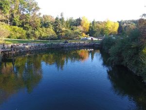 Atatürk Arboretumundan Sonbahar Manzaraları !