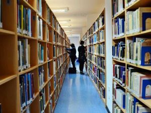 Kültürel İstihdamın Toplam İstihdam İçindeki Payı Arttı