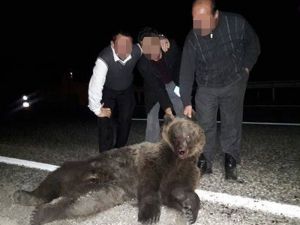 Telef Olan Ayıyla Fotoğraf Çektiler