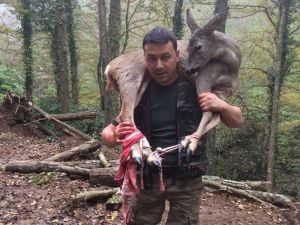 Yaralı Karacayı 3 Kilometre Omuzunda Taşıdı