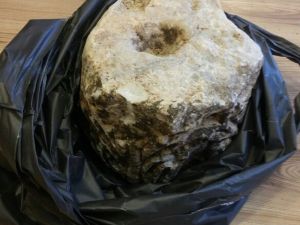 İski’nin Altyapı Kazısında Tarih Çıktı