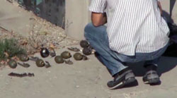 Ankara'da El Bombaları Bulundu