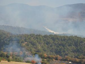 Tokat’ta Orman Yangını