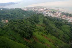Rize'nin Dağı Taşı Yeşil Altın