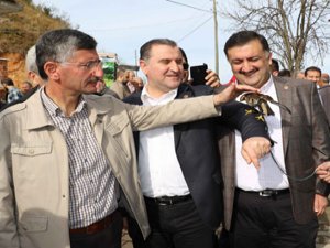 Rize'de Atmacalar Doğal Yaşama Bırakıldı