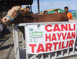 Rize'ye Dört Dörtlük Kurban Pazarı