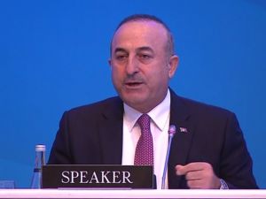 Bakan Çavuşoğlu’ndan Ermeni Vekile Tokat Gibi Deaş Cevabı