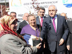 Rize Valisi Fidan Dağıttı