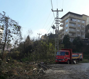 Kestiği Ağacı Elektrik Kablolarına Düşüren Kişi 5 Mahalleyi Elektriksiz Bıraktı