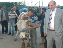 Rize Kurban Pazarına Akın Var