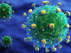 ’H5n8’ Almanya’da Hızla Yyılıyor