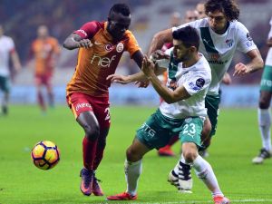Aslan Timsah’ı Avladı