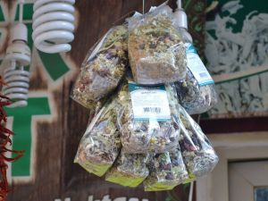 Bu Bitkiler Kışın Zinde Tutuyor