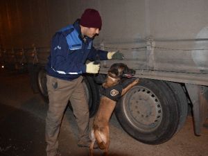 Giresun’da 600 Polis İle ‘Huzur’ Uygulaması