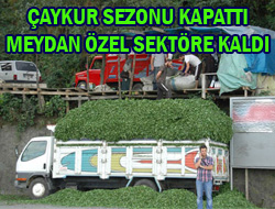 Çay Üreticisi Özele Mahkum Edildi