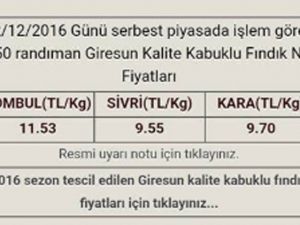 Fındık Fiyatları Haftaya Düşüşle Başladı