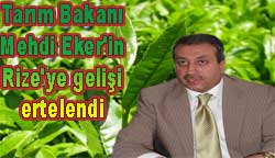 Çay Fiyatı Perşembe'ye ertelendi