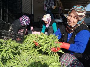 Irak’a Bakla İhracı