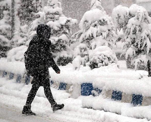 Kar Yağışı Rize'de 186 Köy Yolunu Ulaşıma Kapattı